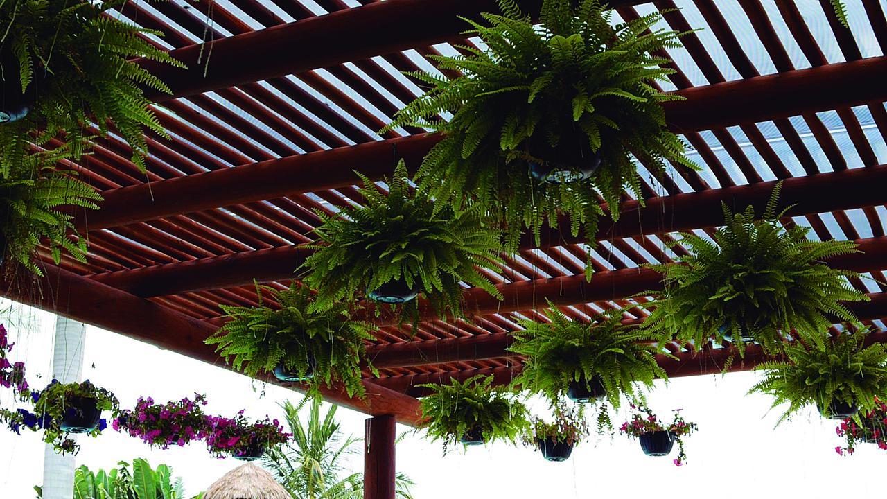 Cabanas Del Capitan Rincón de Guayabitos Eksteriør bilde